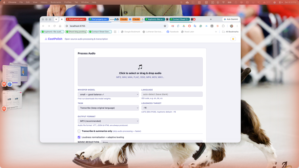 CastPolish v1.3 — AI Noise Reduction, In-App Installer, and Processing Logs